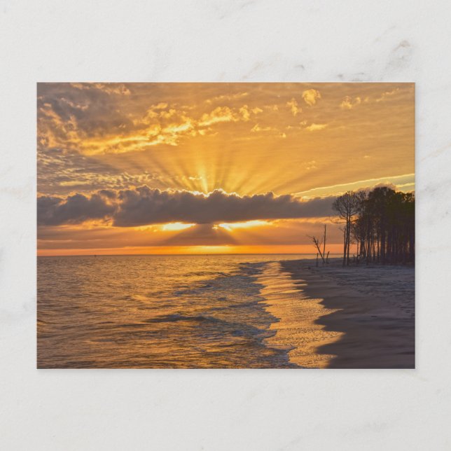 Sonnenuntergang auf Dauphin Island, Alabama Postkarte (Vorderseite)