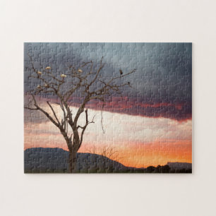 Sonnenuntergang auf dem Kandheri-Sumpf mit afrikan