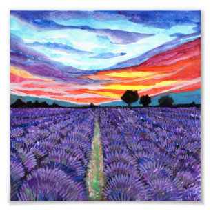 Sonnenuntergang auf dem Lavender Field Fotodruck