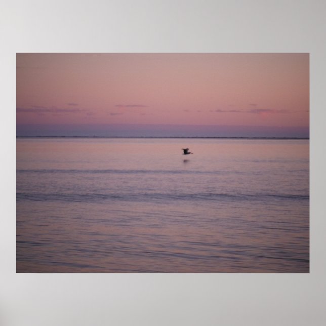 Sonnenuntergang auf der Insel Sullivan Poster (Vorne)