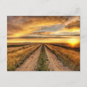 Sonnenuntergang auf der Landstraße Postkarte
