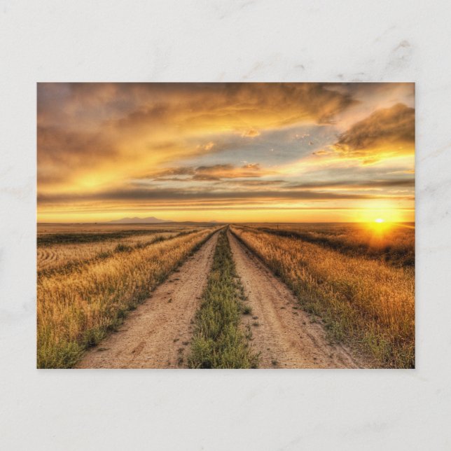 Sonnenuntergang auf der Landstraße Postkarte (Vorderseite)