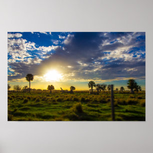 Sonnenuntergang auf einer Florida Ranch Poster