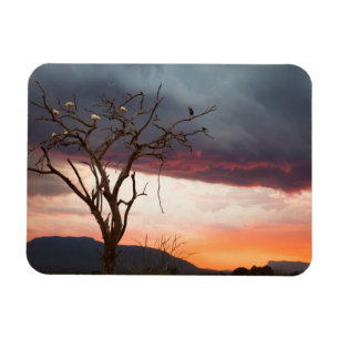 Sonnenuntergang auf Kandheri-Sumpf mit Afrikanisch Magnet