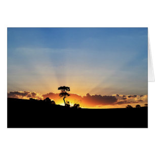 Sonnenuntergang-Bauernhof Londrina