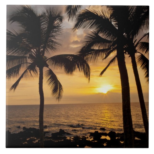 Sonnenuntergang der Palme Fliese (Vorderseite)