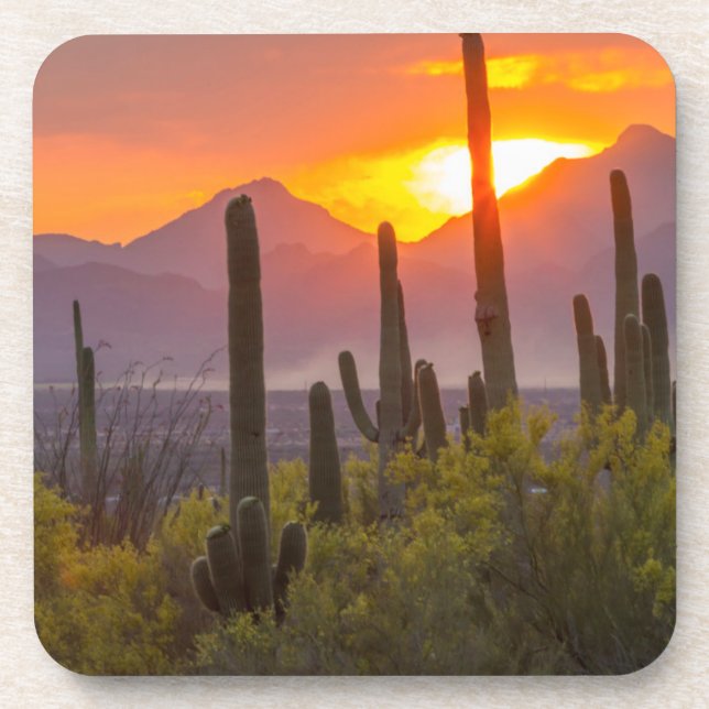 Sonnenuntergang der Wüste, Arizona Getränkeuntersetzer (Vorderseite)
