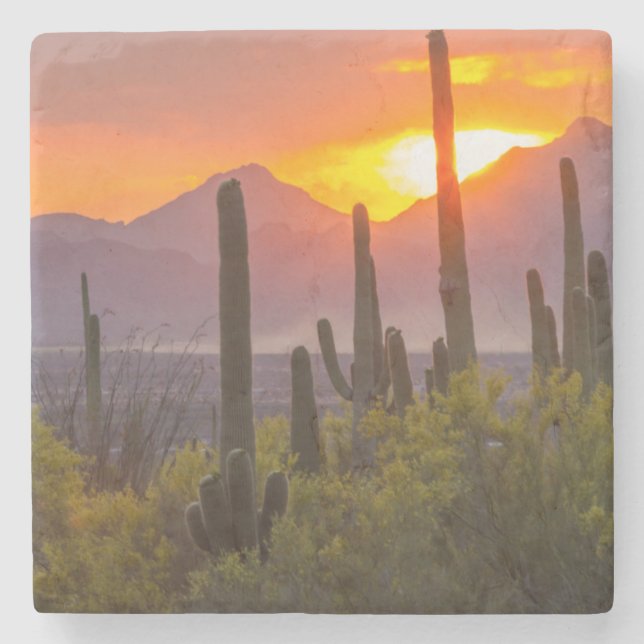 Sonnenuntergang der Wüste, Arizona Steinuntersetzer (Vorderseite)