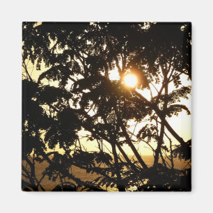 Sonnenuntergang durch Bäume I Tropische Fotografie Magnet
