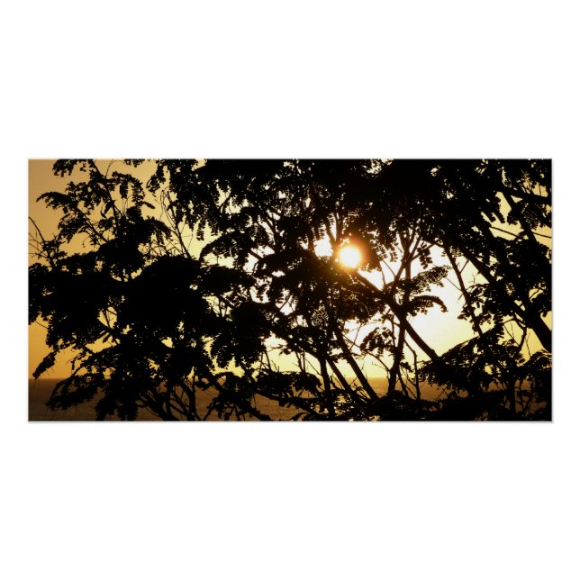 Sonnenuntergang durch Bäume I Tropische Fotografie Poster (Vorderseite)