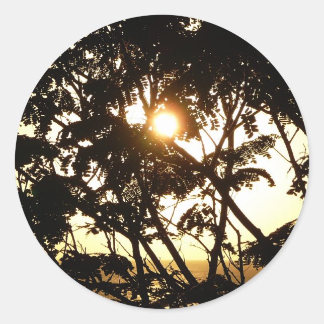 Sonnenuntergang durch Bäume I Tropische Fotografie Runder Aufkleber (Vorderseite)