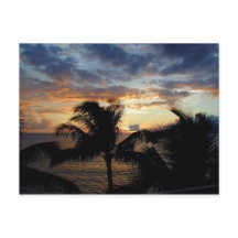Sonnenuntergang durch die Palms Postkarte