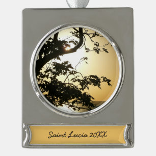 Sonnenuntergang durch die Tropenfotografie der Bäu Banner-Ornament Silber