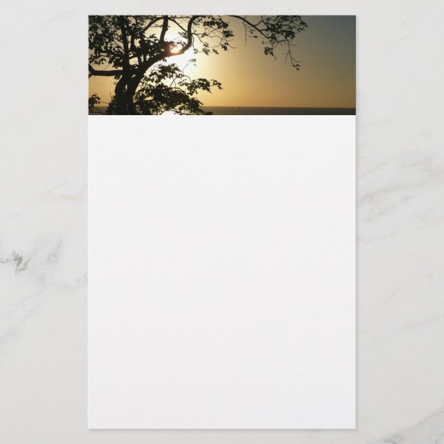 Sonnenuntergang durch die Tropenfotografie der Bäu Briefpapier (Vorderseite)