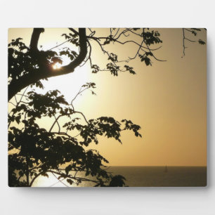 Sonnenuntergang durch die Tropenfotografie der Bäu Fotoplatte