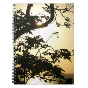 Sonnenuntergang durch die Tropenfotografie der Bäu Notizblock