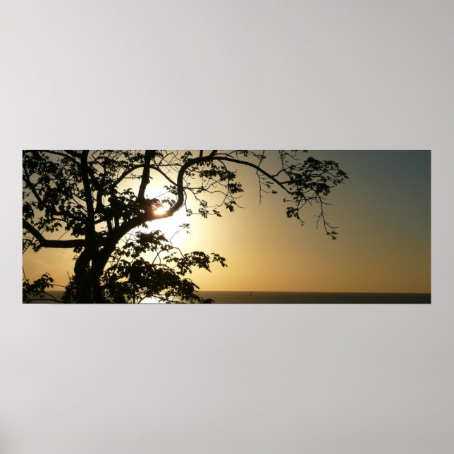 Sonnenuntergang durch die Tropenfotografie der Bäu Poster (Vorne)