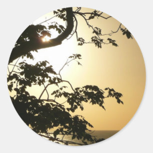 Sonnenuntergang durch die Tropenfotografie der Bäu Runder Aufkleber