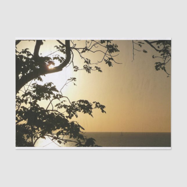 Sonnenuntergang durch die Tropenfotografie der Bäu Seidenpapier (Vorderseite)