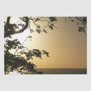 Sonnenuntergang durch die Tropenfotografie der Bäu Seidenpapier