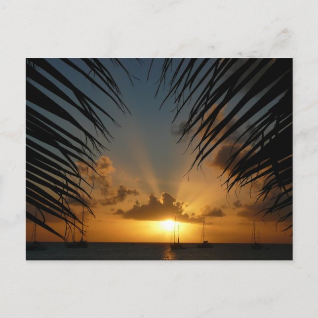 Sonnenuntergang durch die tropische Küste der Palm Postkarte (Vorderseite)