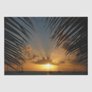 Sonnenuntergang durch die tropische Küste der Palm Seidenpapier