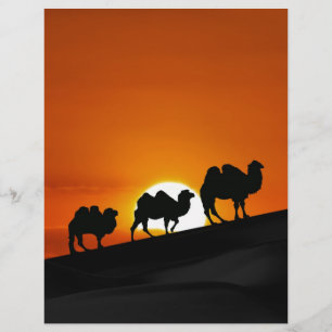Sonnenuntergang durch Kamele