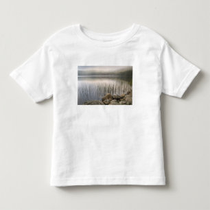 Sonnenuntergang durch Nebel über den Oberen Hadloc Kleinkind T-shirt