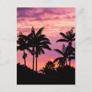 Sonnenuntergang durch Palmen Postkarte