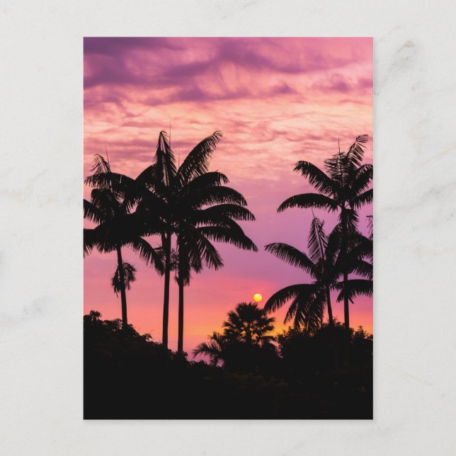 Sonnenuntergang durch Palmen Postkarte (Vorderseite)