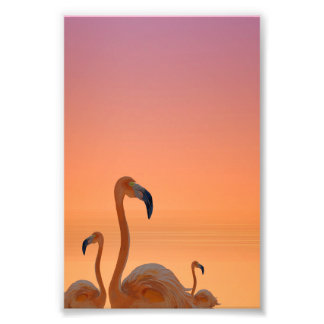Sonnenuntergang Flamingo Tropischer Poster