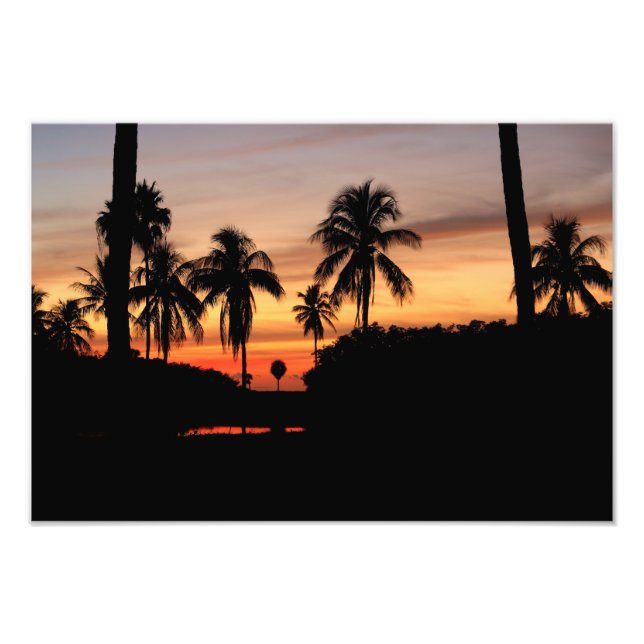 Sonnenuntergang Florida Fotodruck (Vorne)