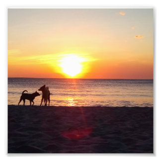 Sonnenuntergang Fotodruck