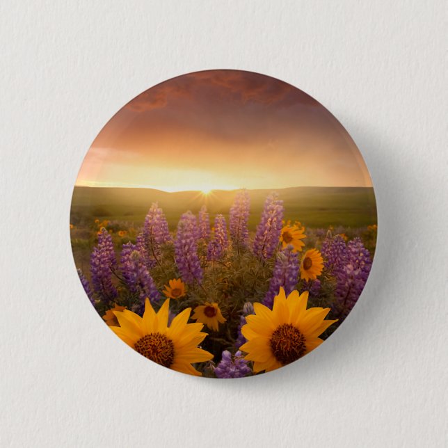 Sonnenuntergang-Gänseblümchen Button (Vorderseite)