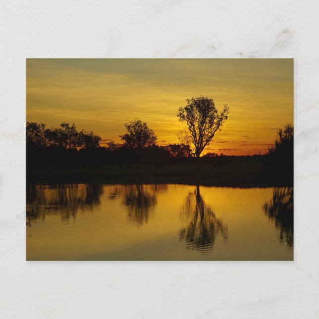 Sonnenuntergang, Gelbes Wasser, Billabong Postkarte (Vorderseite)