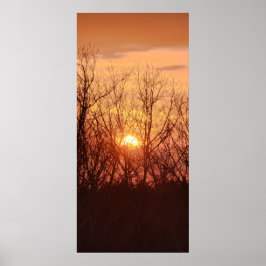 Sonnenuntergang hinter den Bäumen Poster