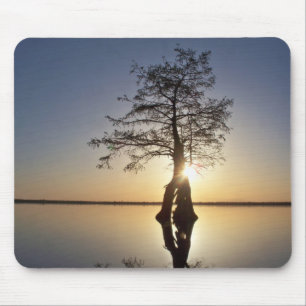 Sonnenuntergang hinter einem Baum Mousepad