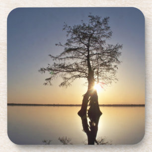 Sonnenuntergang hinter einem Baum Untersetzer