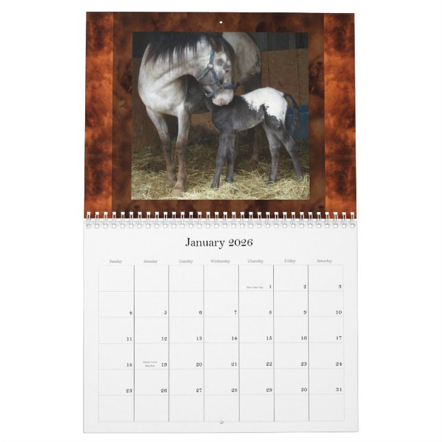SONNENUNTERGANG-HÜGELAPPALOOSAS (VERBESSERT) KALENDER (Jan 2026)