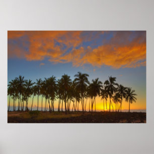 Sonnenuntergang im National Historic Park Pu'uhonu Poster