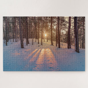 Sonnenuntergang im schneebedeckten Kiefernwald