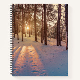 Sonnenuntergang im schneebedeckten Kiefernwald Notizbuch