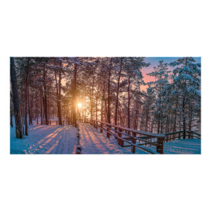 Sonnenuntergang im schneebedeckten Pinienwald mit Fotodruck