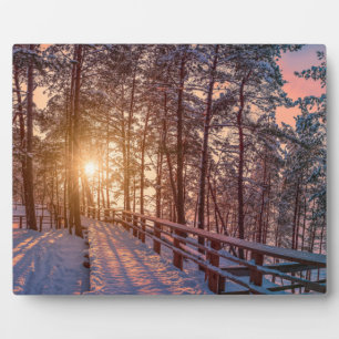 Sonnenuntergang im schneebedeckten Pinienwald mit  Fotoplatte