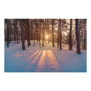 Sonnenuntergang im schneebedeckten Winterkiefernwa Fotodruck