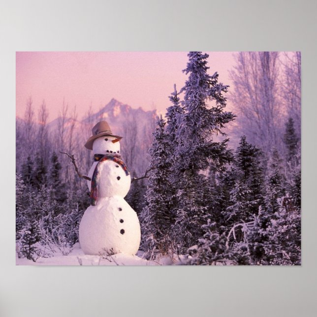 Sonnenuntergang im Wintergebirge Poster (Vorne)