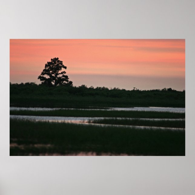 Sonnenuntergang in den Feuchtgebieten Poster (Vorne)