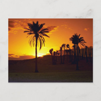 Sonnenuntergang in der Wüste, Die Sahara, Tunesien Postkarte