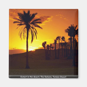 Sonnenuntergang in der Wüste, Wüste des Saharas, Magnet