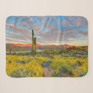 Sonnenuntergang in der Wüstenlandschaft Sherpadecke